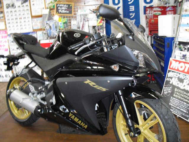 yzfr125.jpg (121991 oCg)